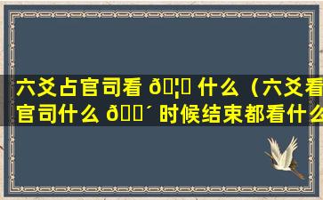 六爻占官司看 🦆 什么（六爻看官司什么 🌴 时候结束都看什么）